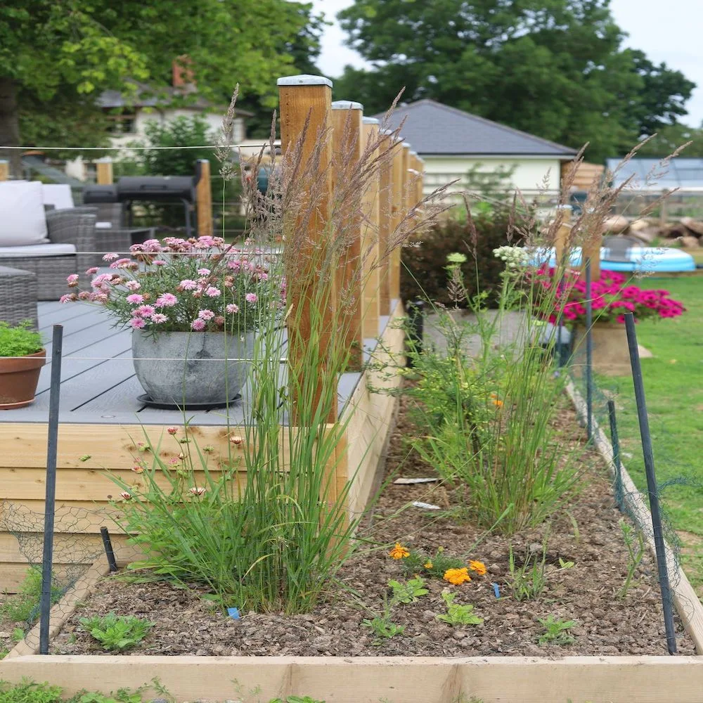 C_IGdRew wooden window frames in a summerhouse